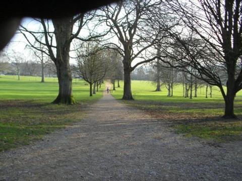 The Cottage At Weston Lawn Бат Экстерьер фото